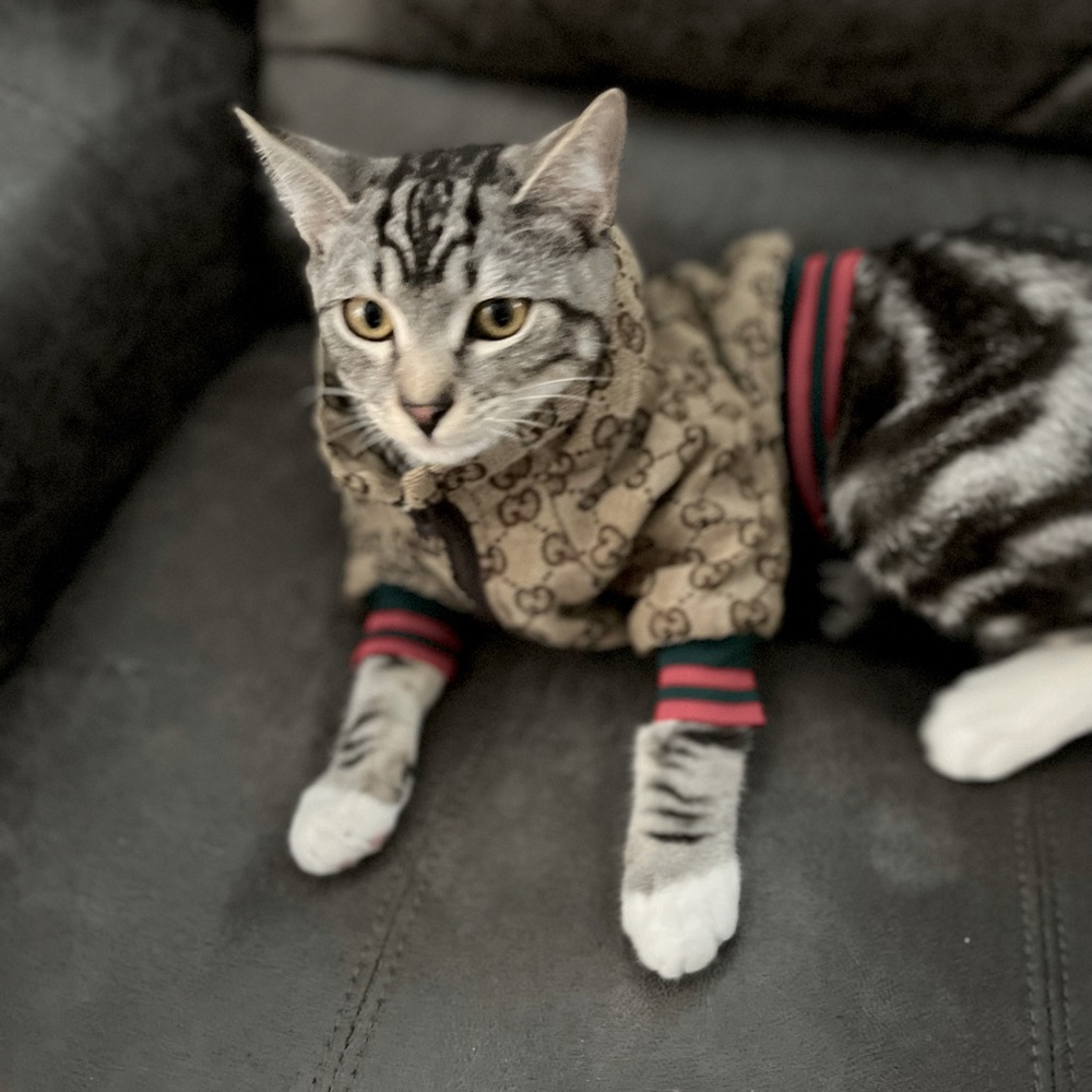 Double Gg logo hoodie track sweater Small